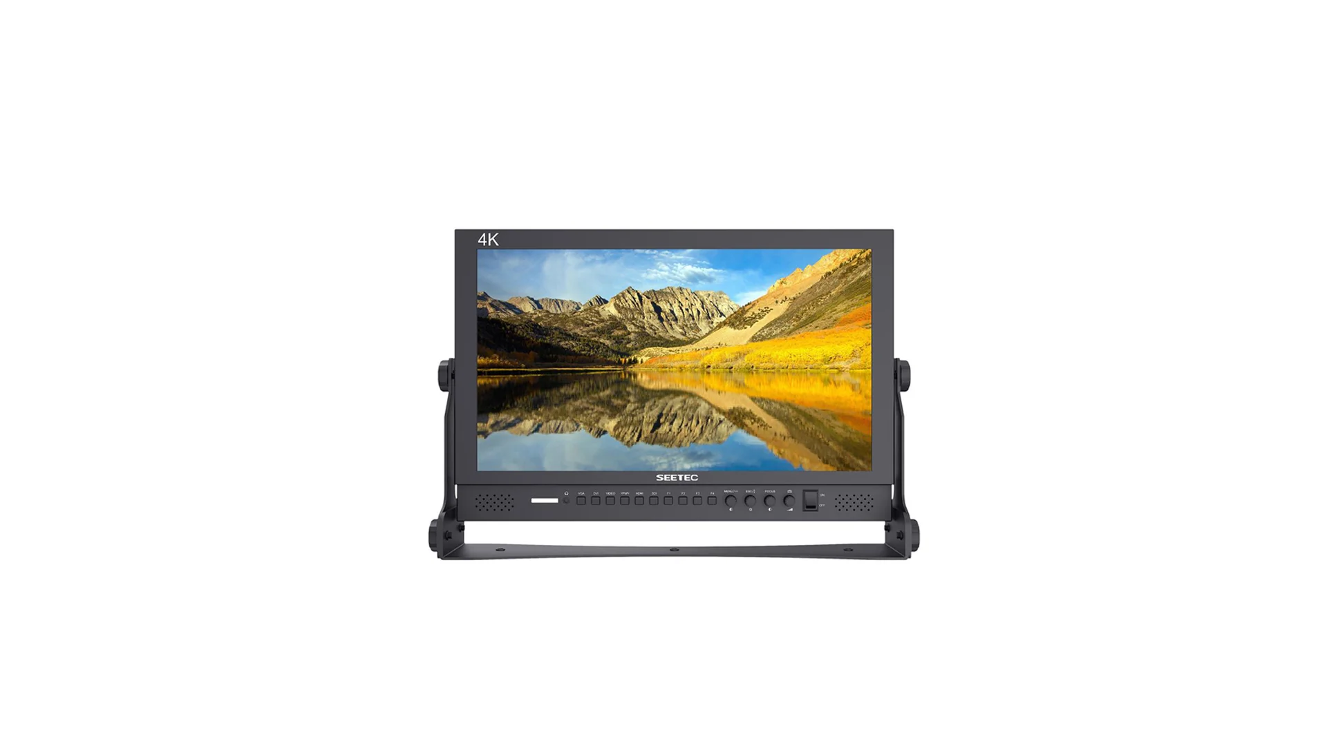 SEETEC Director Monitor