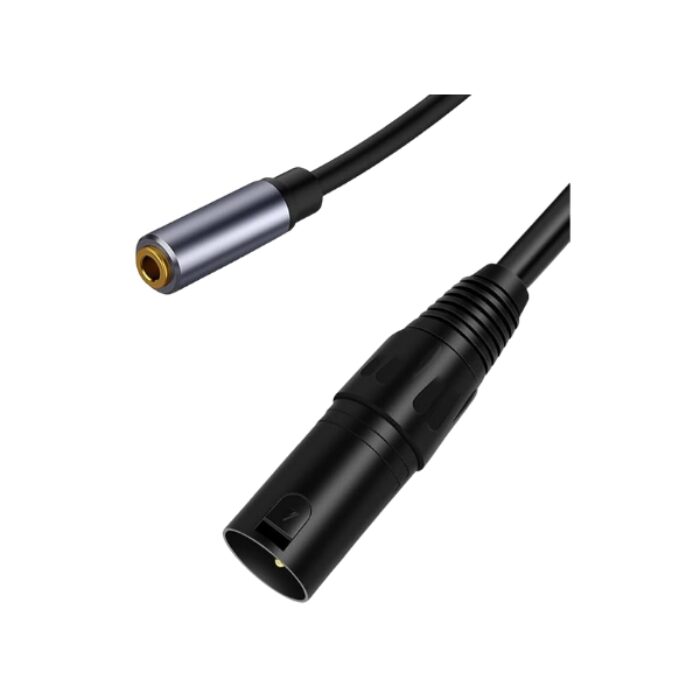 Generic XLR Male To Aux Male 30 CM